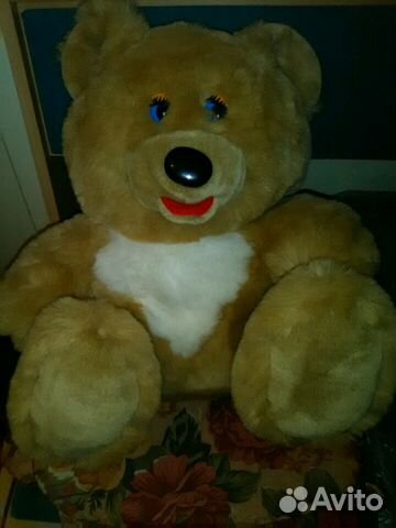 Медведь новый