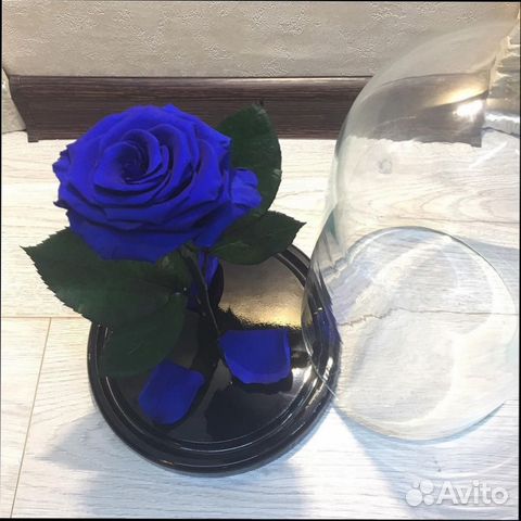 Роза в колбе