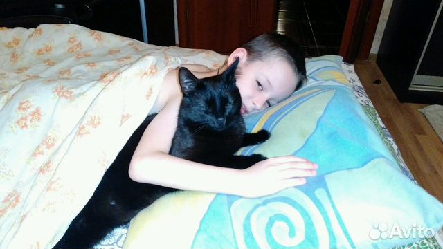 Отдам в добрые руки