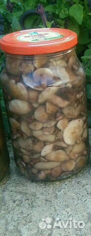 Грибы Маслята солёные