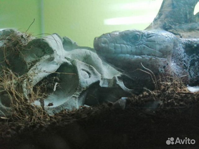 Плотник отделочные работы