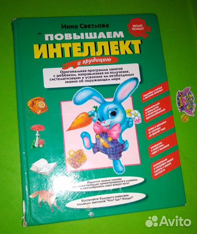 Программа занятий 