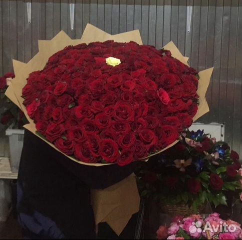 201 роза, Букеты Цветы Розы 25 51 101 151 Доставка 201 роза, Букеты Цветы Розы 25 51 101 151 Доставка