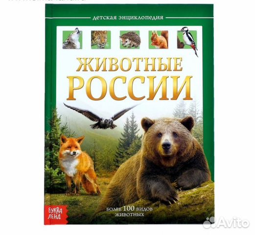 Энциклопедия Энциклопедия