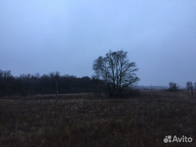 Участок 10 сот. (ИЖС)