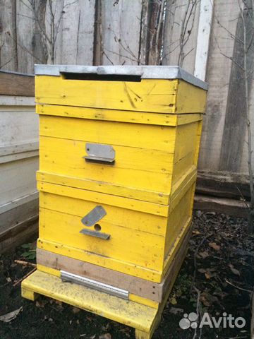 Ящики для пчёл (ульи) купить на Зозу.ру - фотография № 2