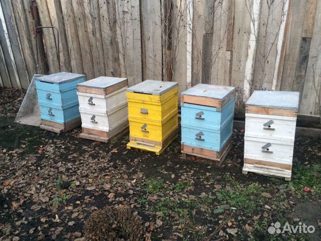 Ящики для пчёл (ульи) купить на Зозу.ру - фотография № 1