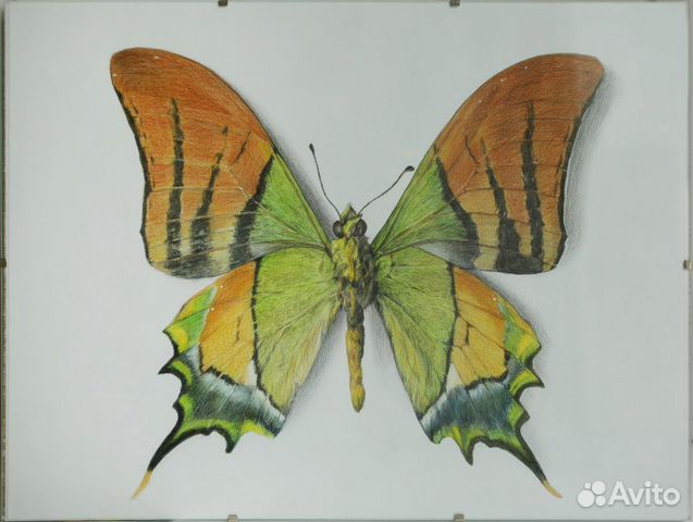 Картина Картина