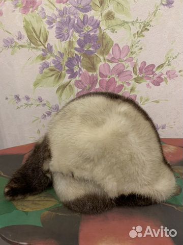 Шапка Шапка