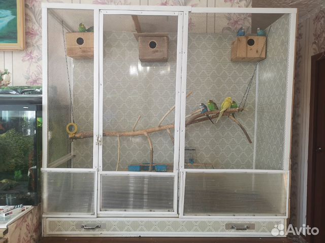 Клетка с 10 попугаями купить на Зозу.ру - фотография № 1