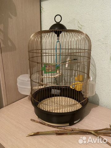 Клетка для птиц купить на Зозу.ру - фотография № 3