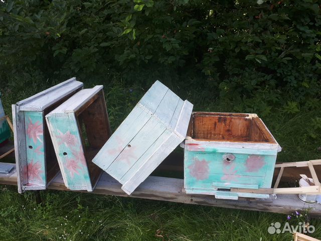 Меняю улей на пчёл