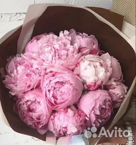 Букеты пионов Букеты пионов