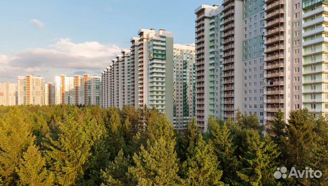 1-к квартира, 31.1 м², 14/25 эт. 1-к квартира, 31.1 м², 14/25 эт.