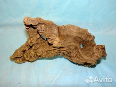 Натуральные коряги в аквариум или террариум Натуральные коряги в аквариум или террариум