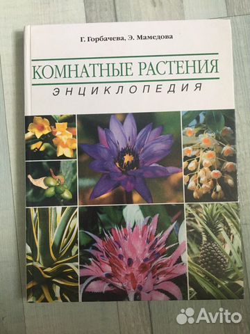 Комнатные растения