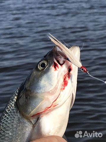 Стример, вабик, мушка, на жереха