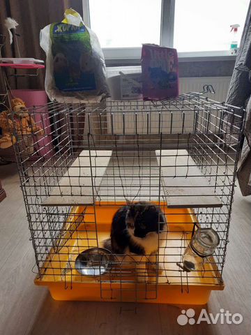 Клетка для шиншиллы