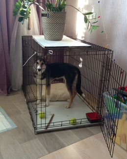 Клетки вольер