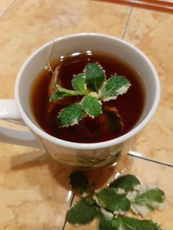 Сортовая Мята