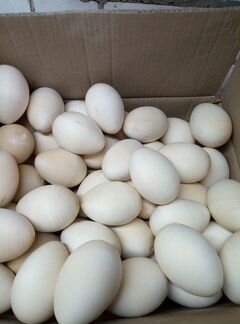 Деревянны заготовки яйца