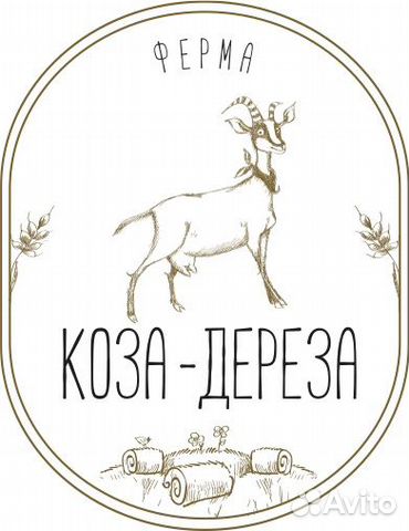 Сотрудник по уходу за животными