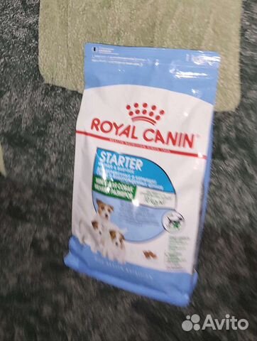 Корм для собак royal canin Starter, Papik