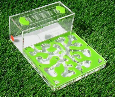 Муравьиная ферма с муравьями гипер Семья