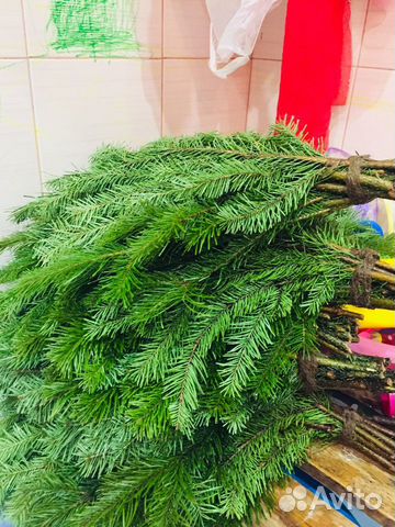 Пихтовые венички сибирские шикарные