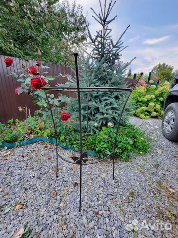 Опора для пиона/кустарника