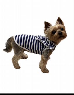 Майка для собаки новая