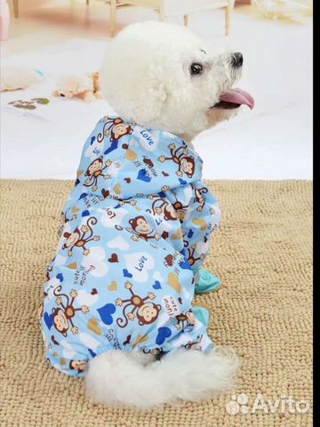 Одежда для собак мелких пород