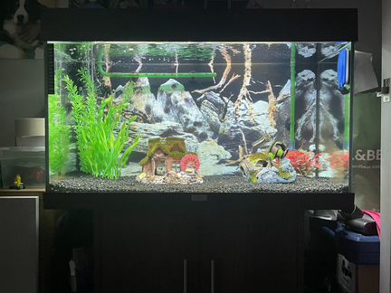 Аквариум Juwel Rio 125