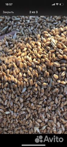 Доставка зерна комбикорма