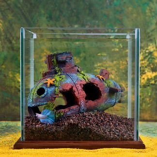 Набор Аквариум куб + рыбка Петушок + корм