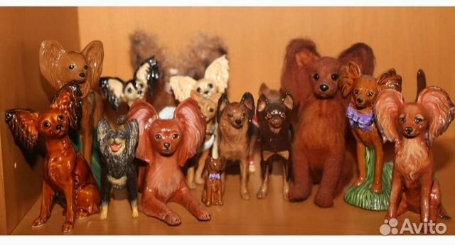 Коллекция той терьеров