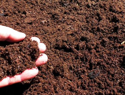 Перегной, навоз коровий и конский в мешках