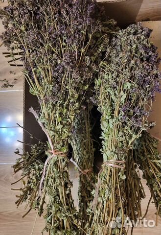 Трава душица