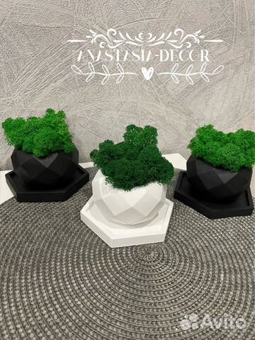 Горшки с мхом