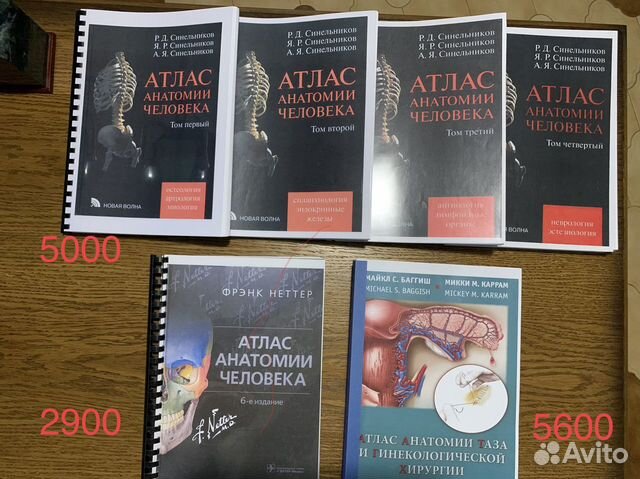 Атлас анатомии Синельников. Разные