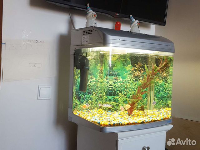 Аквариум