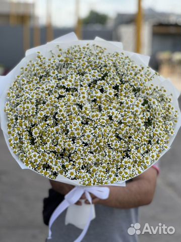 Букеты из ромашек