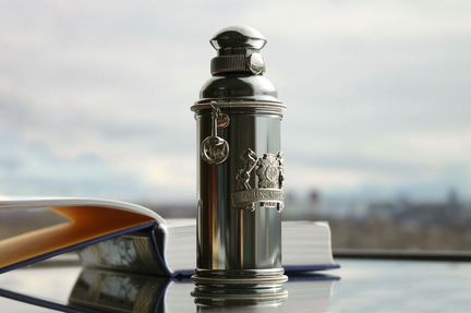 Alexandre J Argentic