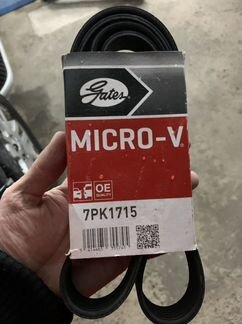 Ремень генератора Honda Accord 8