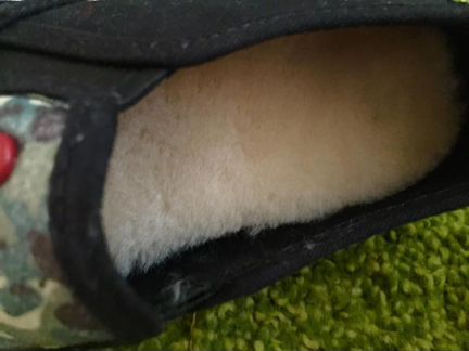 Новые Ugg оригинал с меховой стелькой