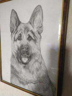 Авторские рисунки