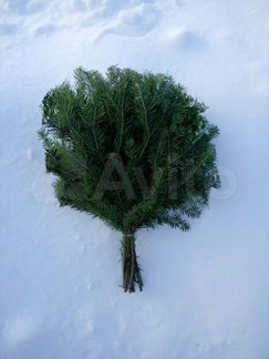 Веники для бани