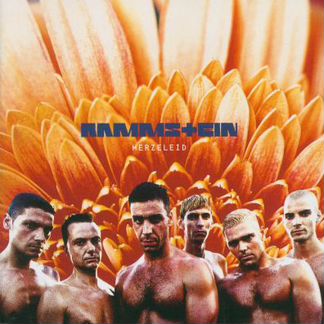 CD Rammstein, Kravitz, B.White, P. Kaas, Celentano