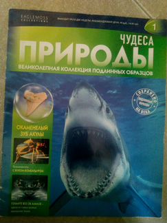 Журнал 