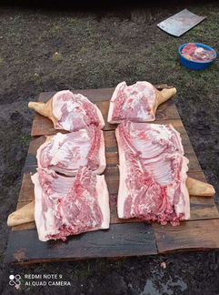 Мясо свинины домашних поросят